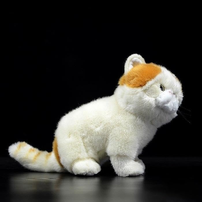 Amazon.co.jp: シミュレーションエキゾチックショートヘア猫ぬいぐるみ